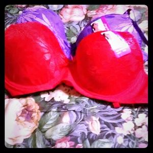 Two Sophid Bras